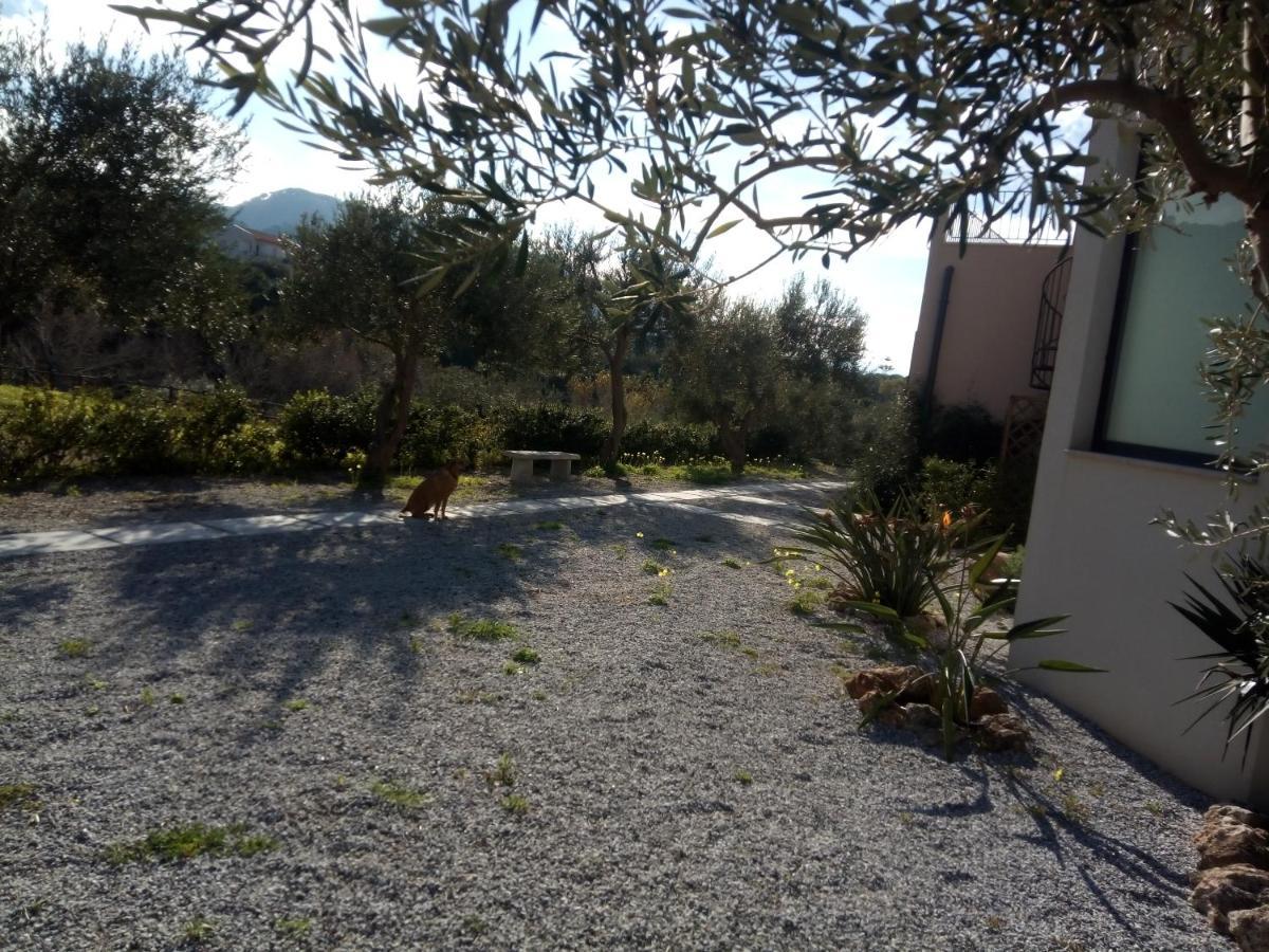 Twin Villas Rodia 外观 照片