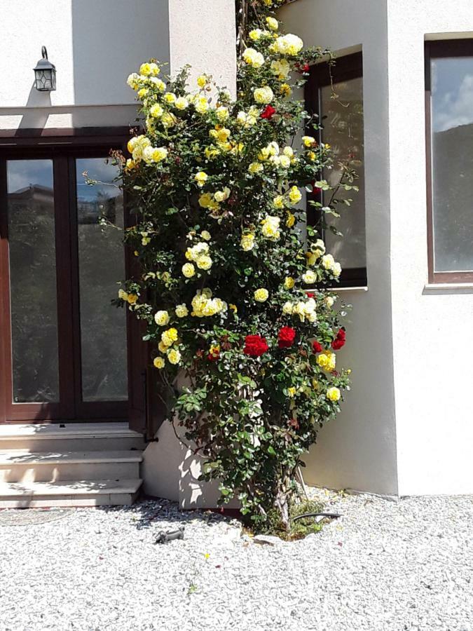 Twin Villas Rodia 外观 照片